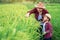 Asian farmer and son learning the surroundings in the green fields in the age of technology, education concept outside the