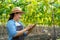 Asian farmer using digital tablet collecting data and monitoring fresh green grapes in organic vineyard