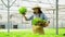 Asian farmer woman holding Wooden box filled with salad vegetables in hydroponic farm system in greenhouse. Concept of Organic
