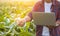 Asian farmer working in the corn field, Man using laptop to examining or analyze young corn crop after planting. Technology for