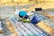 Asian farmer working in Hydroponics farm