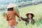 Asian farmers wearing hats and helping each other during the harvest together