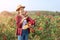 Asian Farmers woman cut the rose bush in Rose Garden