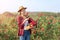 Asian Farmers woman cut the rose bush in Rose Garden