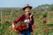 Asian Farmers woman holding the rose bush in Rose Garden