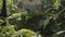 Asian female biologist use a magnifying glass to see the details of flora and fauna in tropical forest ecosystem.