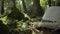 Asian female biologist use a magnifying glass to see the details of flora and fauna in tropical forest ecosystem during summer.