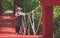 Asian female forester taking notes on red hanging bridge in mangrove forest at natural parkland