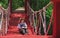 Asian female forester taking notes while sitting on red suspension bridge in mangrove forest at natural parkland