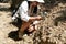 Asian female geologist researcher analyzing rocks with a magnifying glass in Mae Wang Nature Park, Thailand. Exploration Geologist