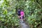 Asian female hiking in tropical rainforest in the morning