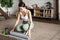 Asian fitness girl finish training,workout at home, rolling floor mat after exercising in living room, cleaning