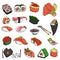 Asian Food collection. Sushi. Sketch style. Vector hand drawn illustration. Isolated objects for design