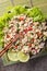 Asian food Thai chicken salad larb gai with onion and greens closeup on the plate on the table. Vertical top view