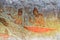 Asian fresco with women traditional outfit Sigiriya ancient rock