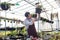 Asian gardener is checking the root system of succulent plant while working inside his greenhouse full of collecting plant for