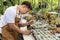 Asian gardener is working inside the greenhouse full of cactus plants collection while propagating by flower pollination for seed