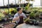 Asian gardener is working inside the greenhouse full of succulent plants collection while propagating by leaf cutting method for