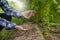 Asian gardeners picking produce from tobacco fields Asian Tobacco Farms and Production Inspections