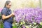 Asian gardeners women searching data of diseases and growing flowers in greenhouse. selective focus