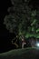 Asian girl dancing ballet under big tree at night