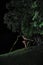 Asian girl dancing ballet under big tree at night