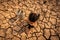 Asian girl and drought. Sad little girl sitting with a watering can on dry ground. Water crisis, Concept hope and drought