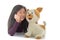 Asian girl holding puppy doll on white