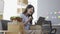 Asian girl selling clothes online using laptop at apartment, fashion blogger records video for online blog,