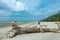 Asian girl sitting on death tree on sandy beach with Pine forest