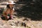 Asian girl sitting in forest,cute little girl studying and learn