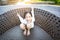 Asian girl smiling happily sitting on a big chair by the pool on holiday