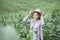 Asian girl standing and smiling in her corn field, Happy Farmer Concept