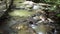 Asian Girl Walking on Wooden Bridge at the Waterfall Than Bok Khorani National Park in Krabi province, Thailand tourist lan