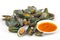 Asian green mussel