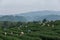 Asian group farmer working in the lush fields of a terraced farm