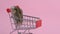 Asian hamster runs away and sits in shopping cart