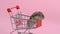 Asian hamster runs away and sits in shopping cart