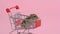 Asian hamster runs away and sits in shopping cart