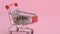 Asian hamster runs away and sits in shopping cart