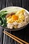 Asian homemade egg noodle soup with anchovies, meatballs and bok choy close-up in a bowl. vertical