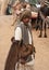 Asian Indian man Camel Driver With Animal