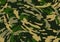 Asian jungle camouflage background