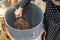 Asian kid holding stainless scoop with roasted coffee beans in c