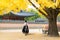 Asian Korean woman dressed Hanbok in traditional dress walking in Gyeongbokgung Palace in autumn season at Seoul, South Korea