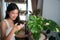 Asian lady watering to Monstera Variegated tree by spray in her room in her condominium