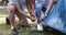 Asian LGBTQ couple camping together Set up a tent on the grass during the weekend