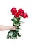 Asian little child girl hand giving colorful bright red roses flower with green  stalk and leaf patterns isolated on white