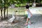 Asian Little Chinese Girl Feeding goose