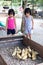 Asian Little Chinese Sisters Feeding Ducks